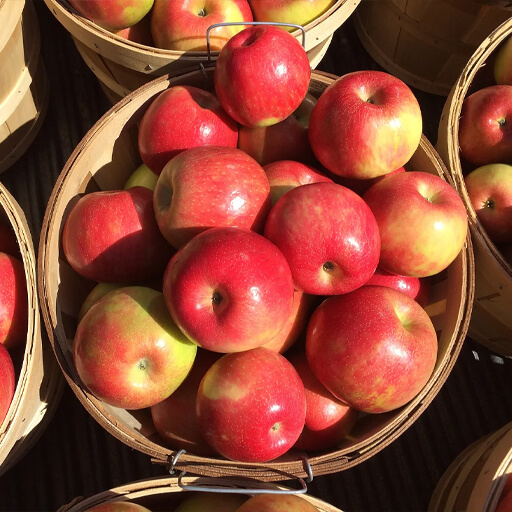 apples